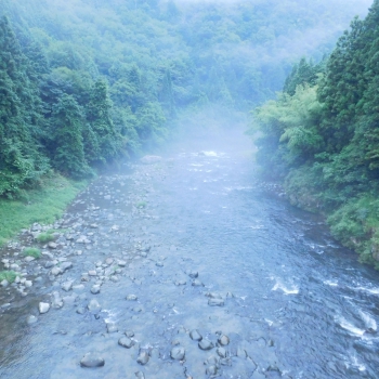 DSCN4451 - コピー.JPG
